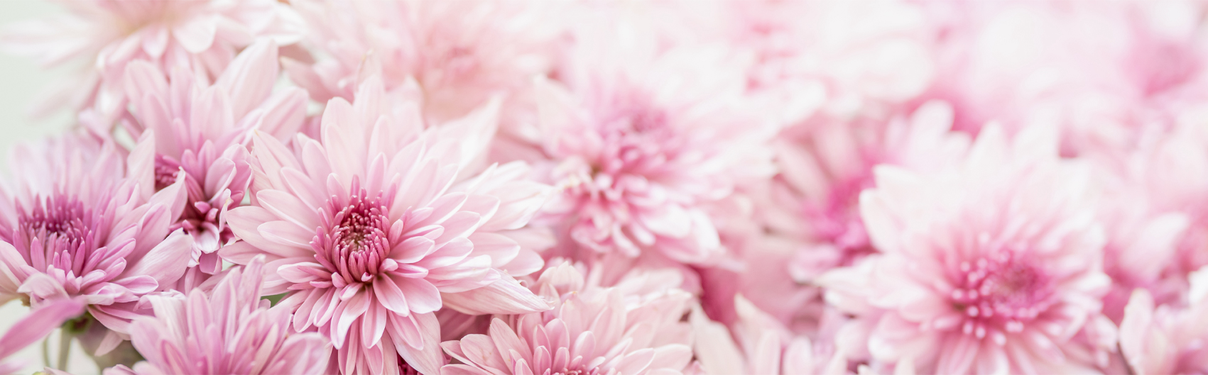 Bluma bouquet creates a unique olfactory experience